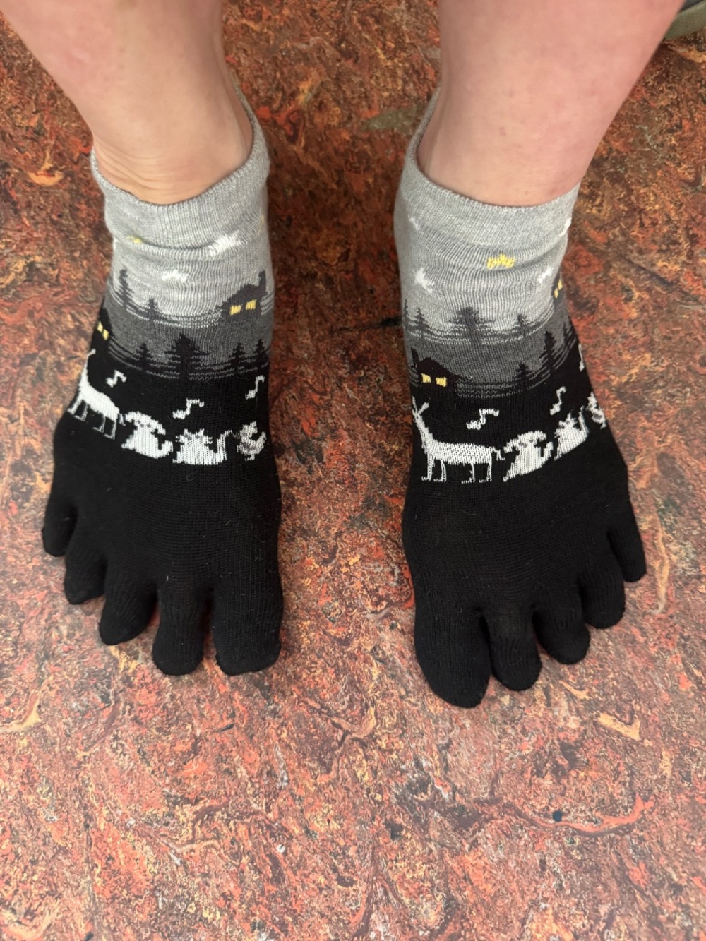 TOE SOCKS in wintery christmas scene